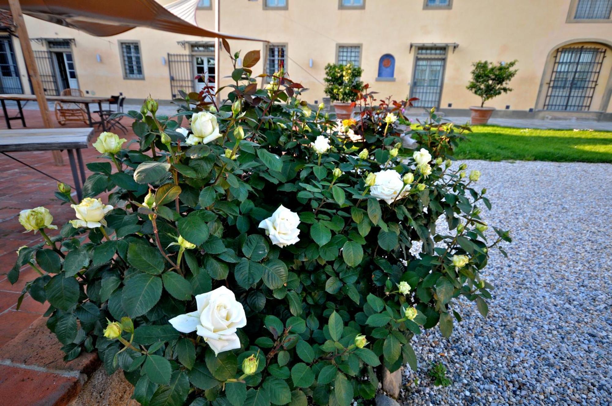 Agriturismo San Rocco Пістоя Екстер'єр фото