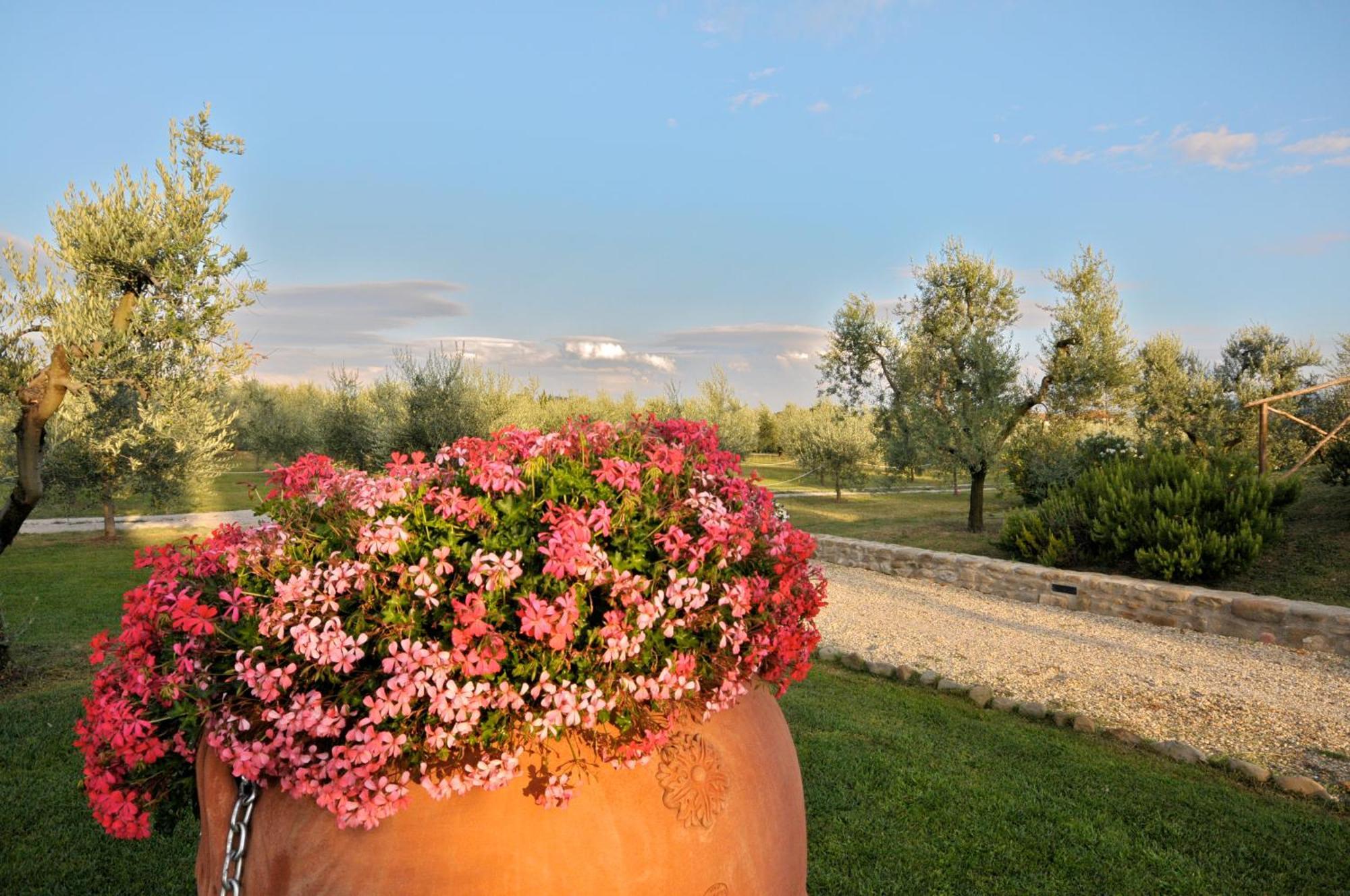 Agriturismo San Rocco Пістоя Екстер'єр фото
